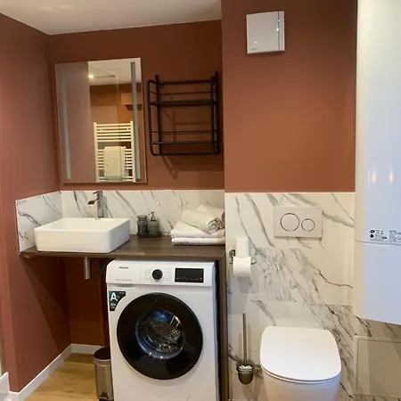 La Rose Des Vents - Plein Centre Apartman Le Mont-Dore